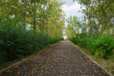 Similar image 21655096