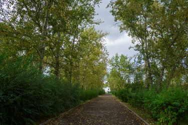 Similar image 21655097