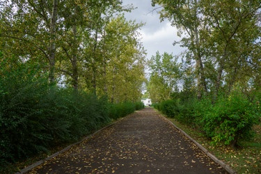 Similar image 21655101