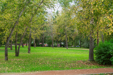 Similar image 21655281