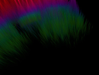 Similar image 21641711