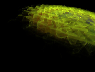 Similar image 21642368