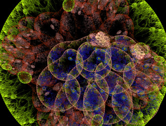 Similar image 21643336