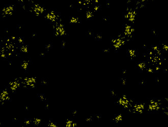 Similar image 21637087