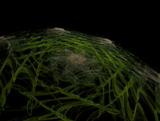 Similar image 21637382