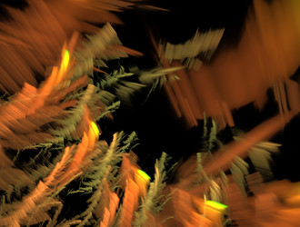 Similar image 21636636