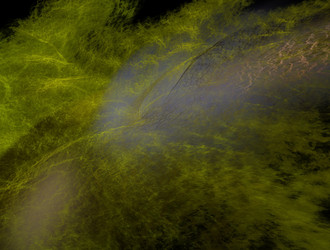 Similar image 21636839