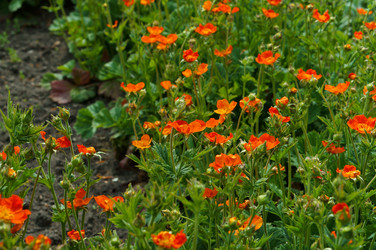 Similar image 21646465