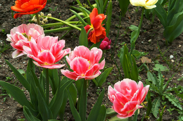 Similar image 21645101