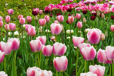 Similar image 21645104