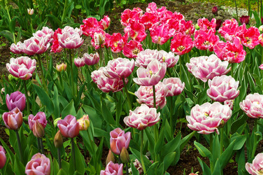 Similar image 21645159