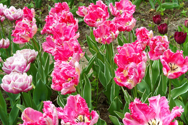 Similar image 21645161