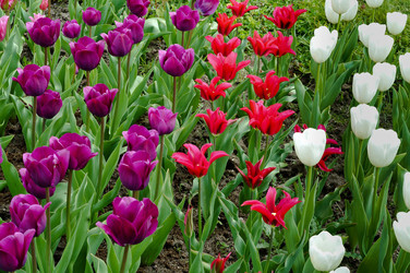 Similar image 21645162