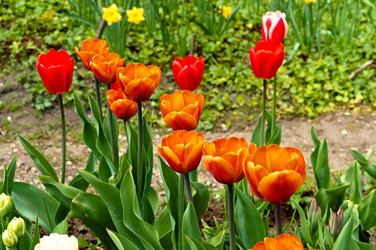 Similar image 21645163