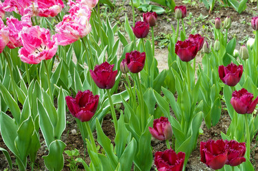 Similar image 21645165