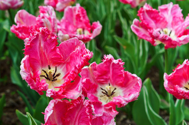 Similar image 21645168