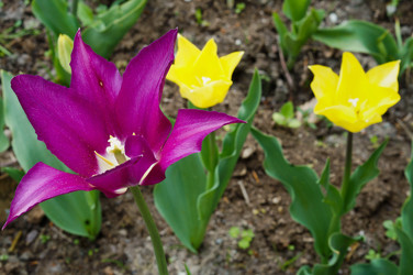 Similar image 21645169