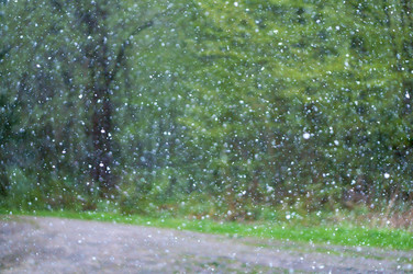 Similar image 21645176