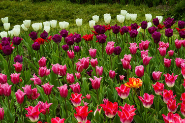 Similar image 21645177