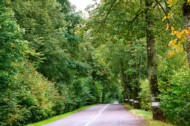 Similar image 21645770