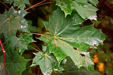 Similar image 21645772