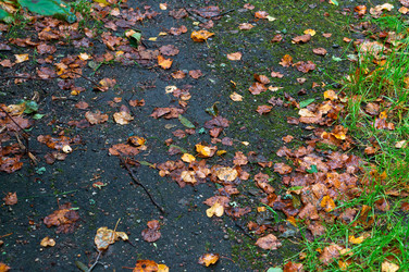 Similar image 21645774