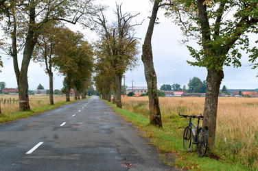 Similar image 21646132