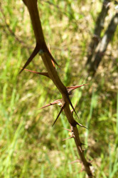 Similar image 21646143