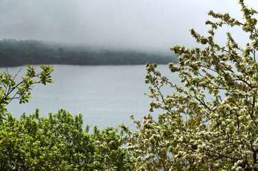 Similar image 21646153