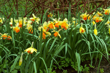 Similar image 21646469