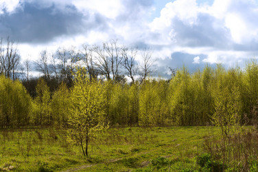 Similar image 21646470