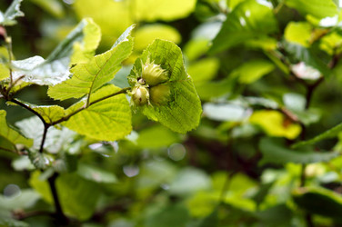 Similar image 21646471