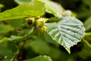 Similar image 21646473