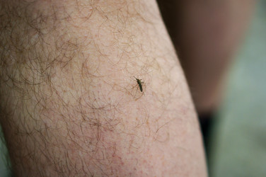 Similar image 21646475