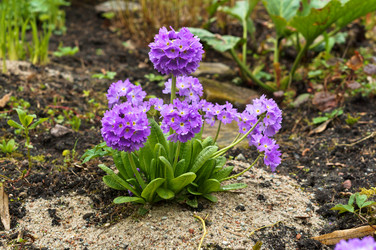 Similar image 21646476