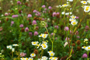 Similar image 21646477