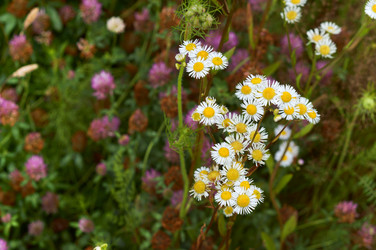 Similar image 21646479