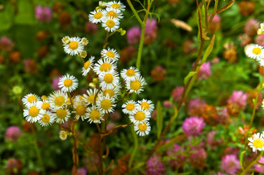 Similar image 21646481