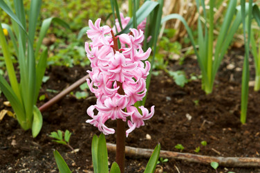 Similar image 21646482