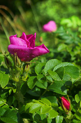 Similar image 21646483