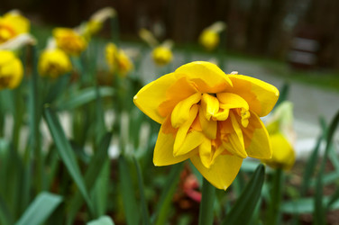 Similar image 21646484