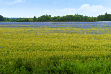 Similar image 21646485