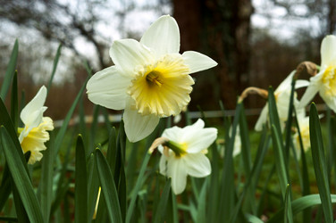 Similar image 21646486