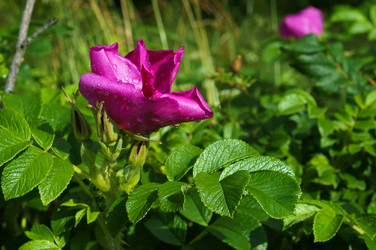 Similar image 21646487