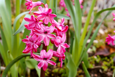 Similar image 21646488