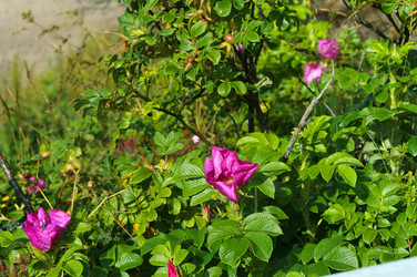 Similar image 21646489