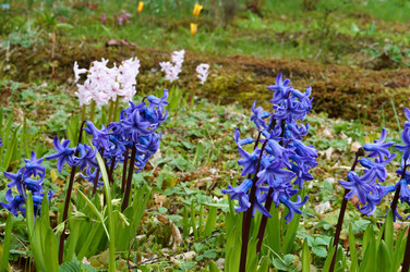 Similar image 21646490