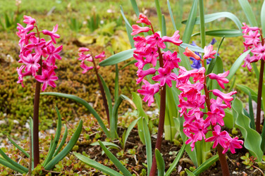 Similar image 21646491