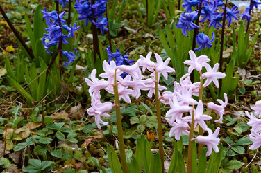 Similar image 21645108