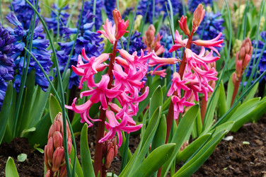 Similar image 21645180